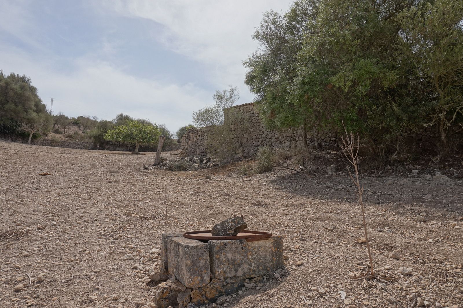 DAV22090713.jpg Casa de campo en Son Macià – finca rústica con jardín en Manacor