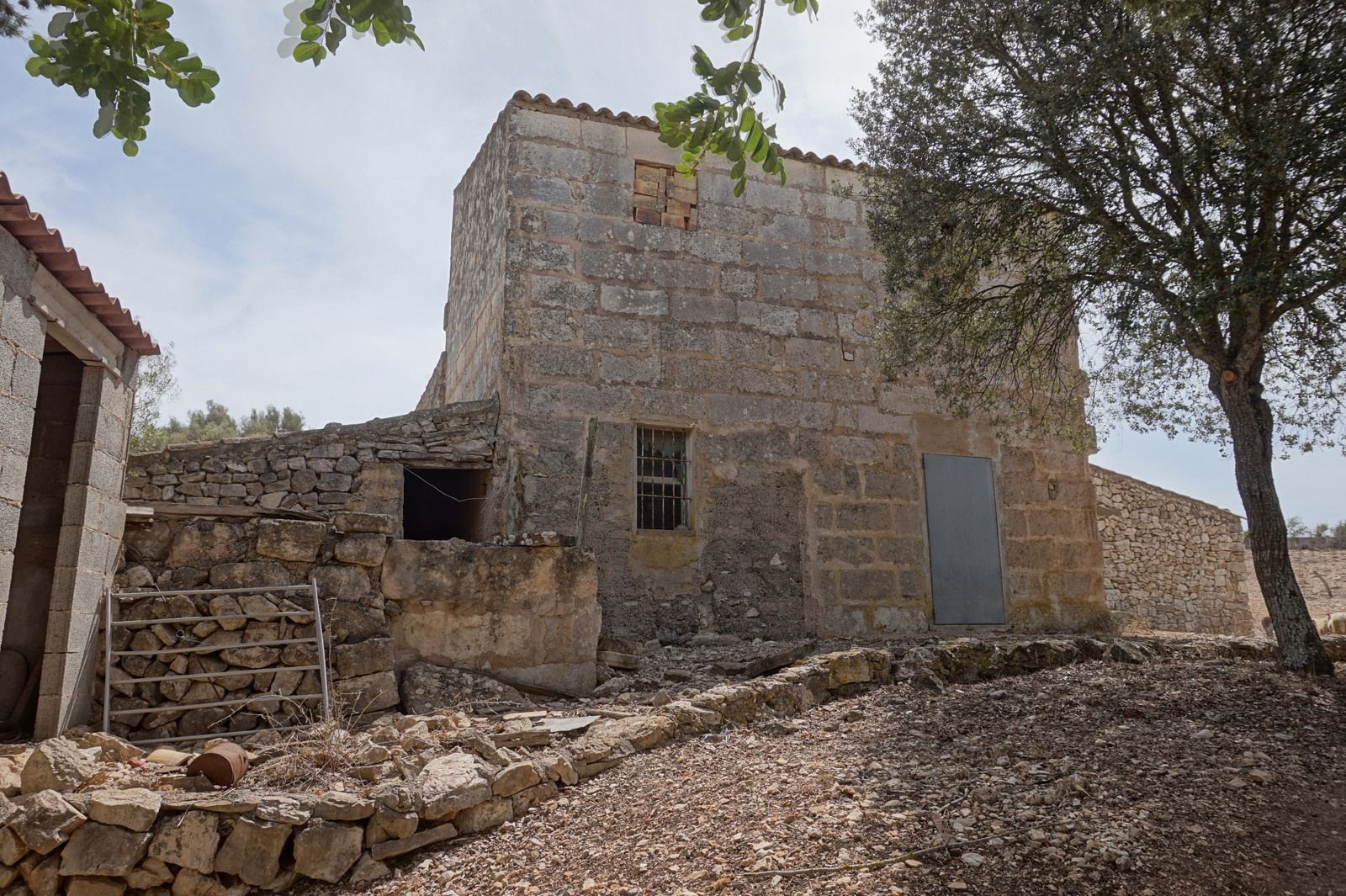 DAV22090714.jpg Casa de campo en Son Macià – finca rústica con jardín en Manacor