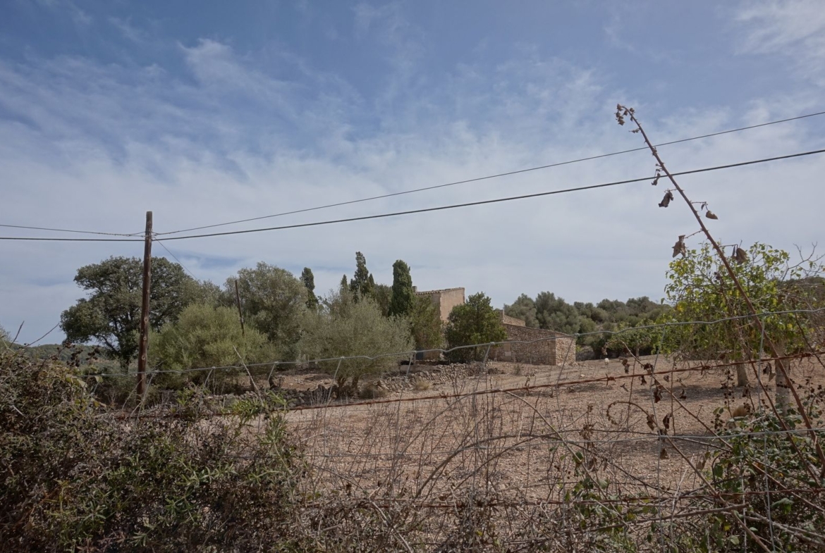 Casa de campo en Son Macià – finca rústica con jardín en Manacor