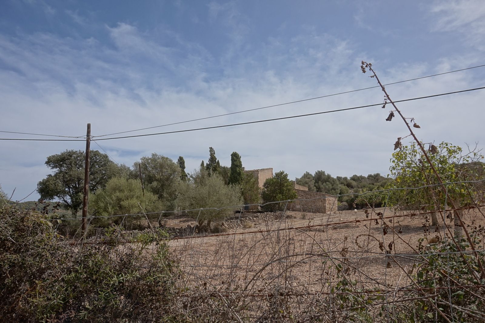 DAV22090715.jpg Casa de campo en Son Macià – finca rústica con jardín en Manacor