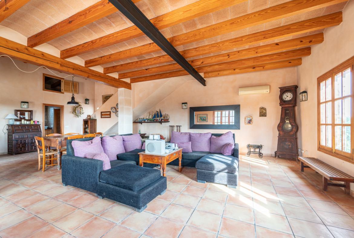 Casa de campo con piscina junto a Ses Salines — 226 m², solar, pozo, garaje +40 m²