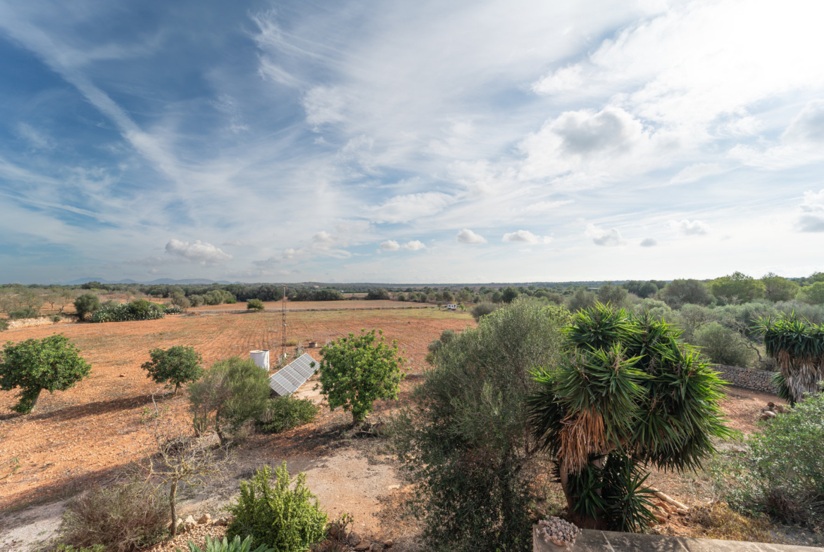 Casa de campo con piscina junto a Ses Salines — 226 m², solar, pozo, garaje +40 m²