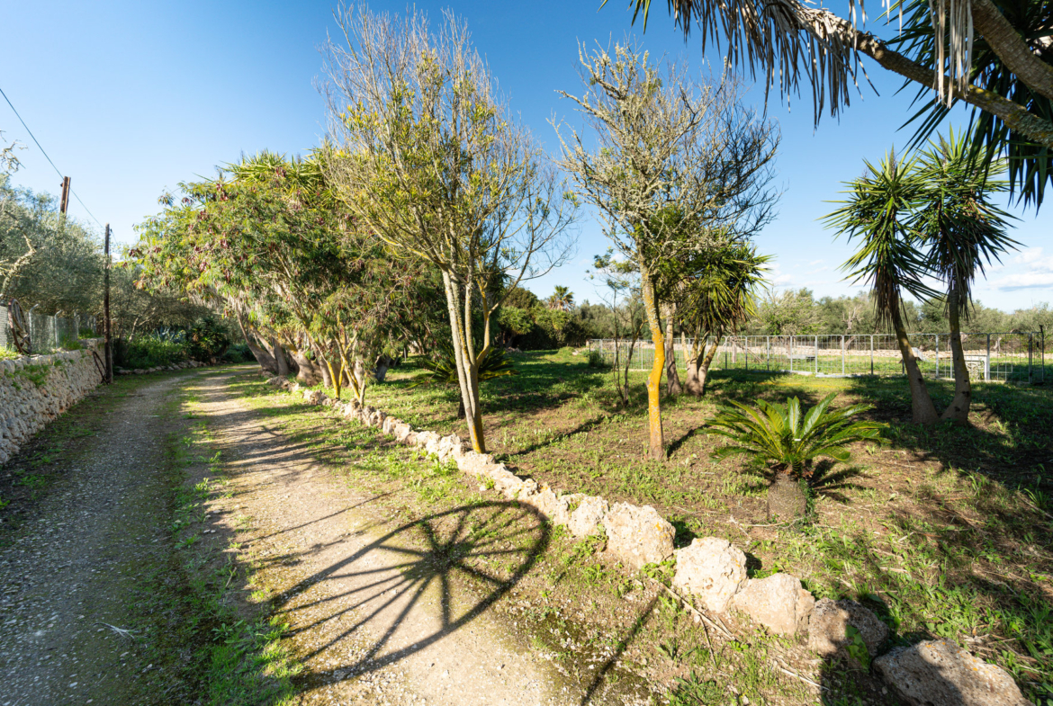 Country House in Sineu with Pool & 5,400 m² Plot