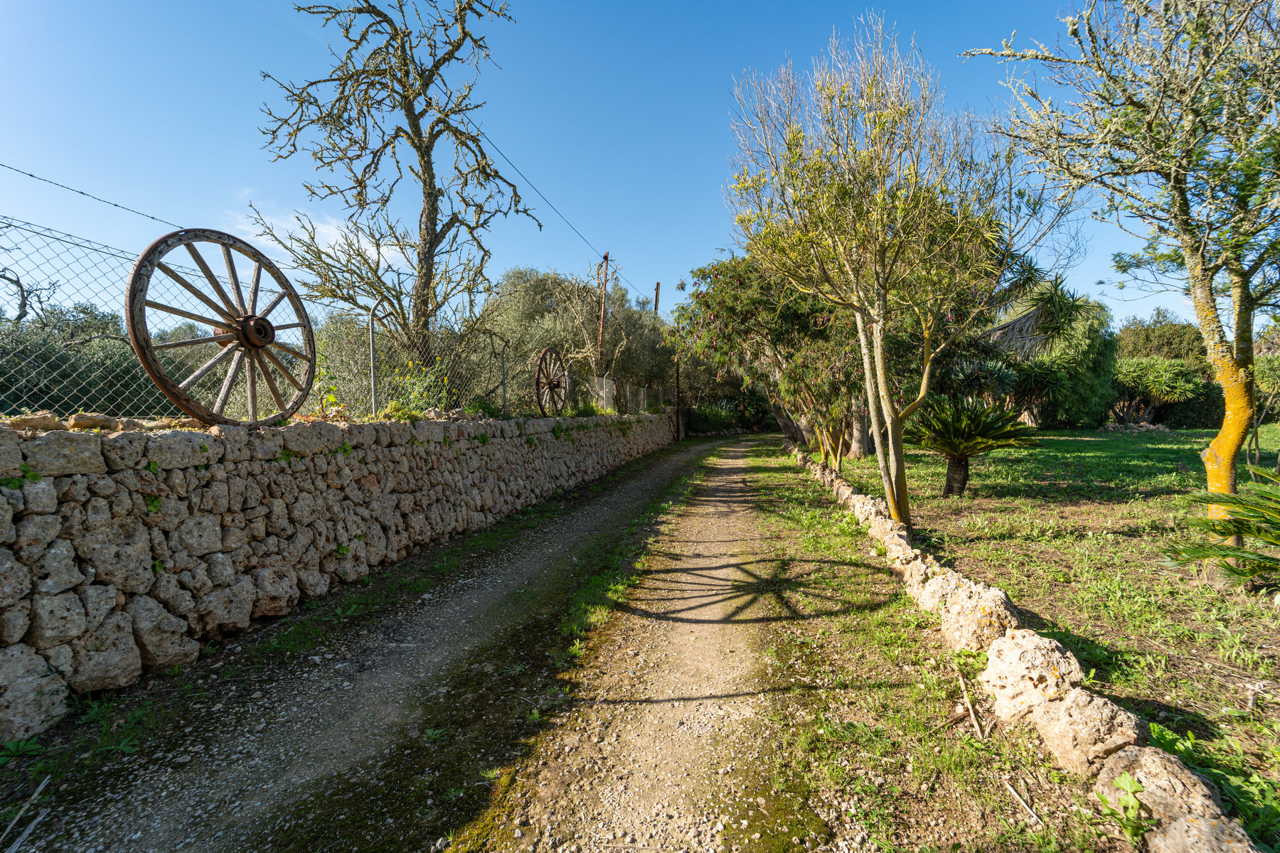 Country House in Sineu with Pool & 5,400 m² Plot