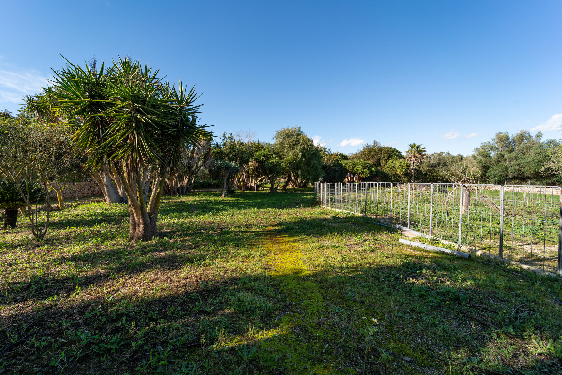 Country House in Sineu with Pool & 5,400 m² Plot