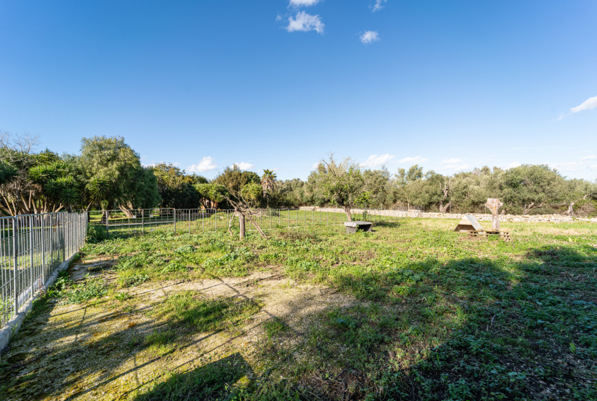 Country House in Sineu with Pool & 5,400 m² Plot