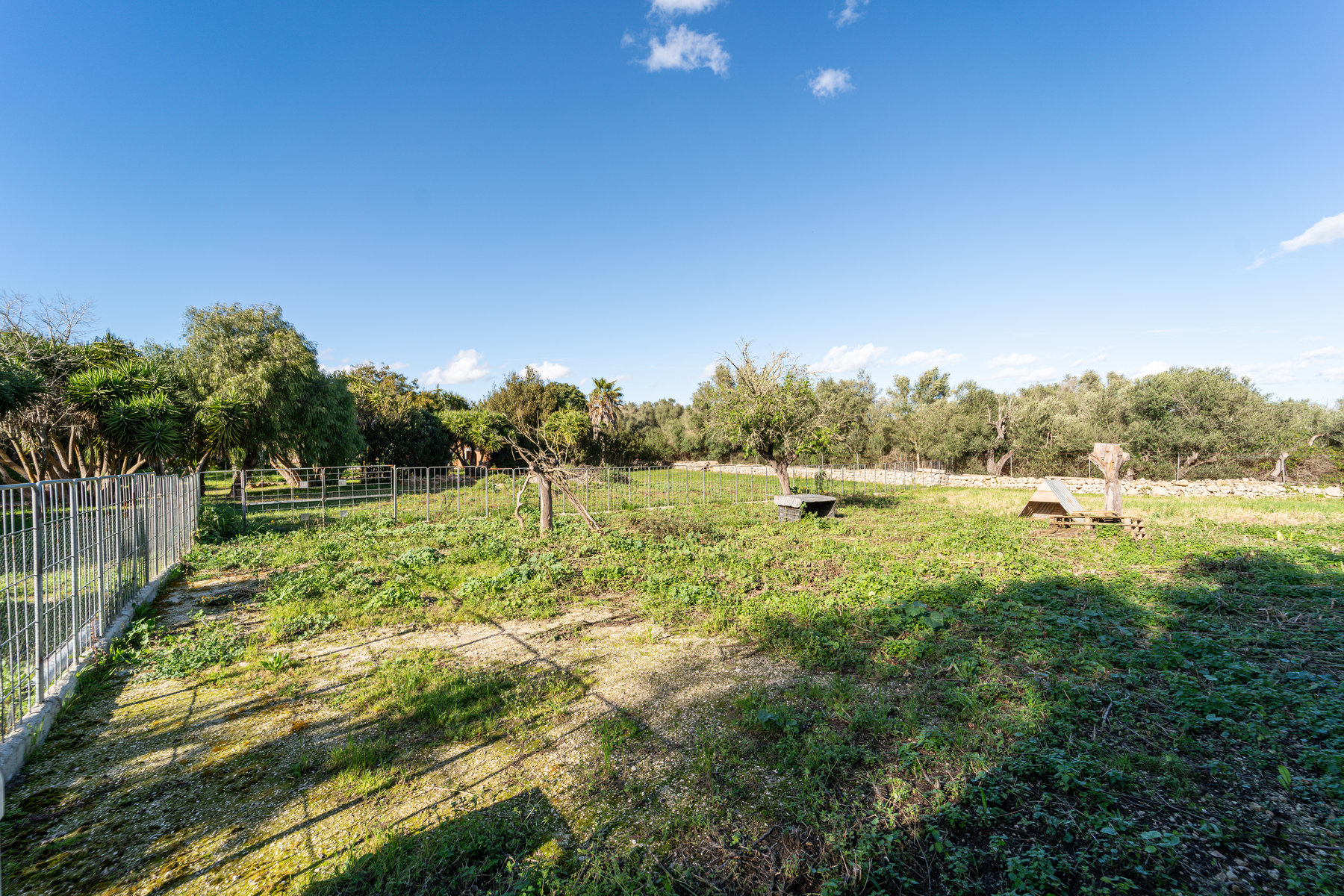 Country House in Sineu with Pool & 5,400 m² Plot