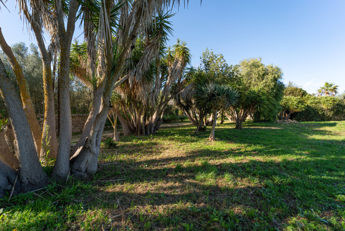 Country House in Sineu with Pool & 5,400 m² Plot