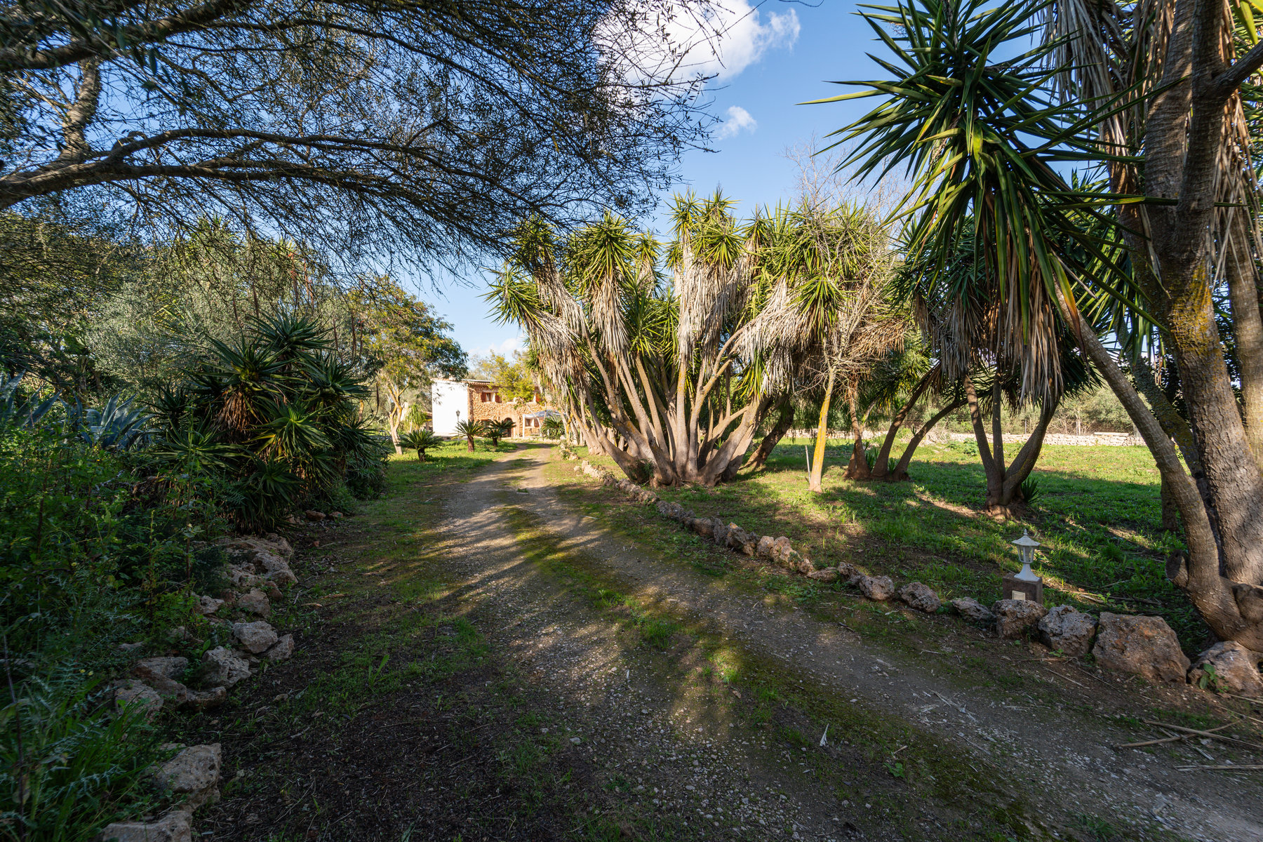 Country House in Sineu with Pool & 5,400 m² Plot