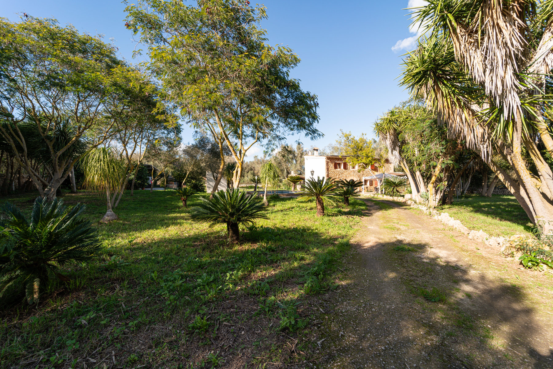 Country House in Sineu with Pool & 5,400 m² Plot