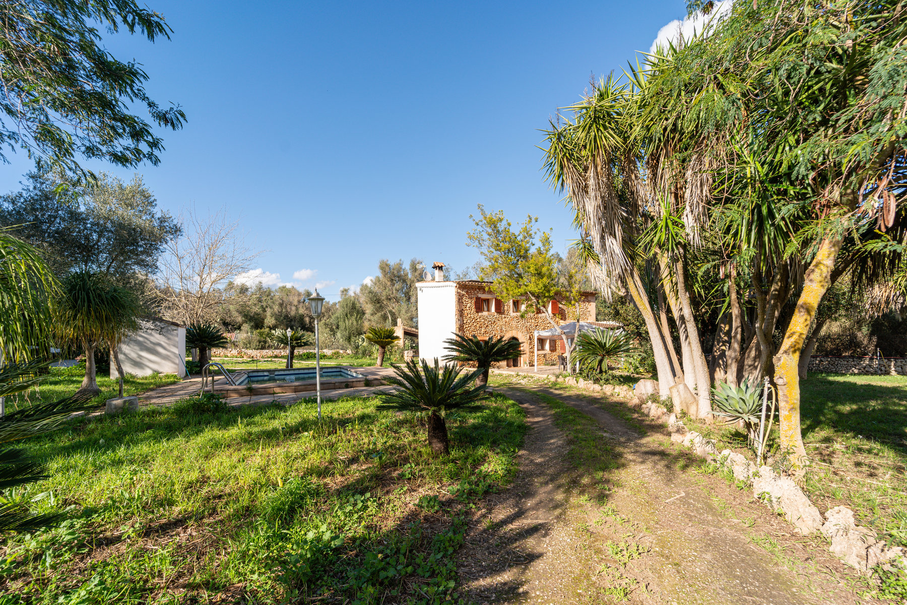 Country House in Sineu with Pool & 5,400 m² Plot