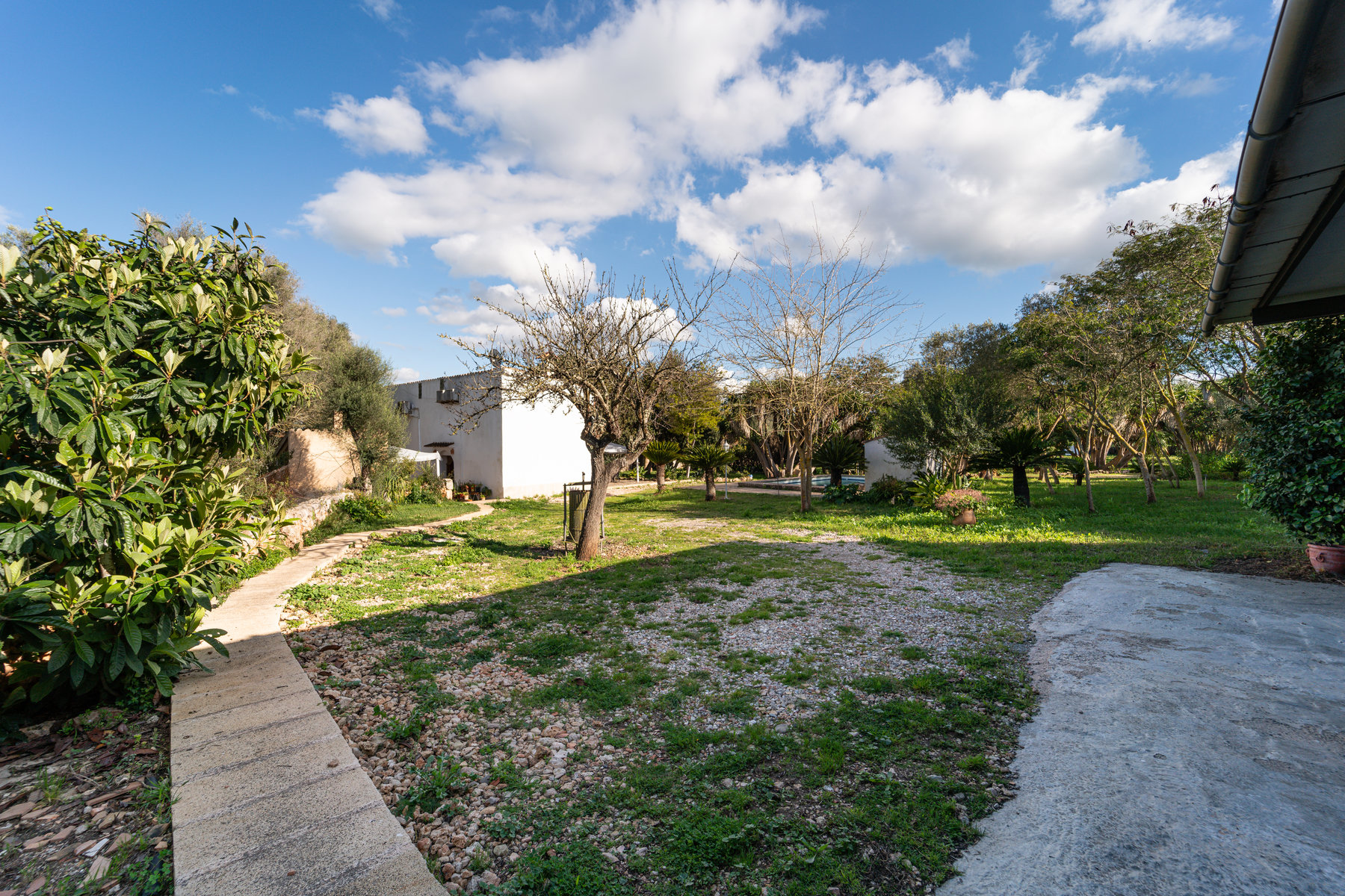 Country House in Sineu with Pool & 5,400 m² Plot