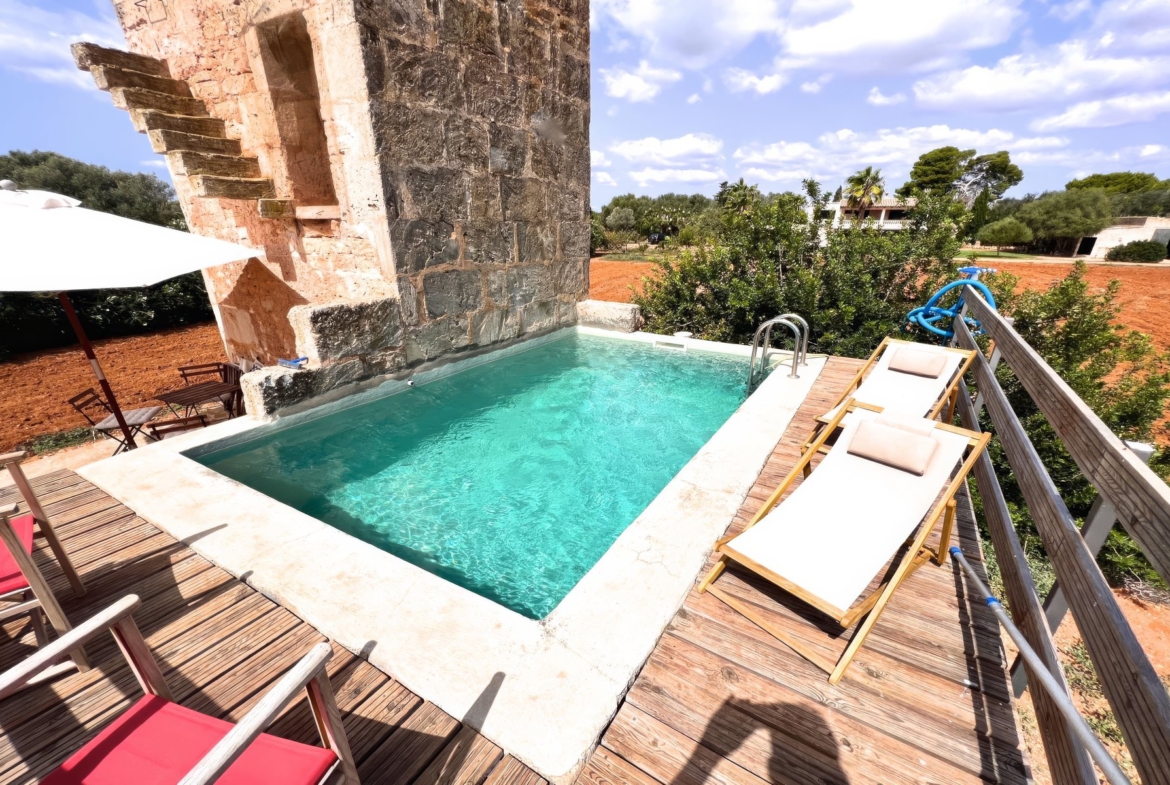 Finca con piscina en molino histórico junto a Ses Salines — 331 m², 15.100 m², año 2017