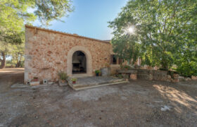 Casa de campo en venta en Campos con terreno, huerto y pozo propio