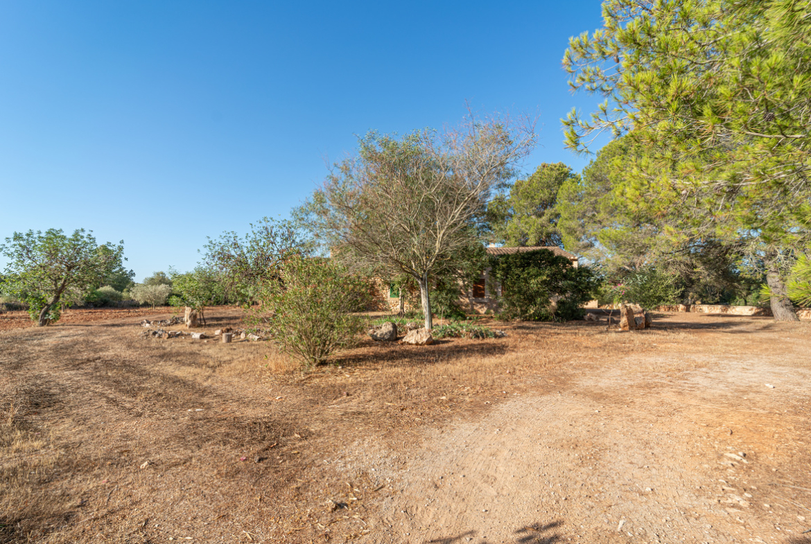 Country house for sale in Campos with land and private well