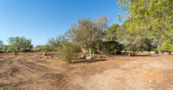 Finca zu verkaufen in Campos mit Grundstück und eigenem Brunnen