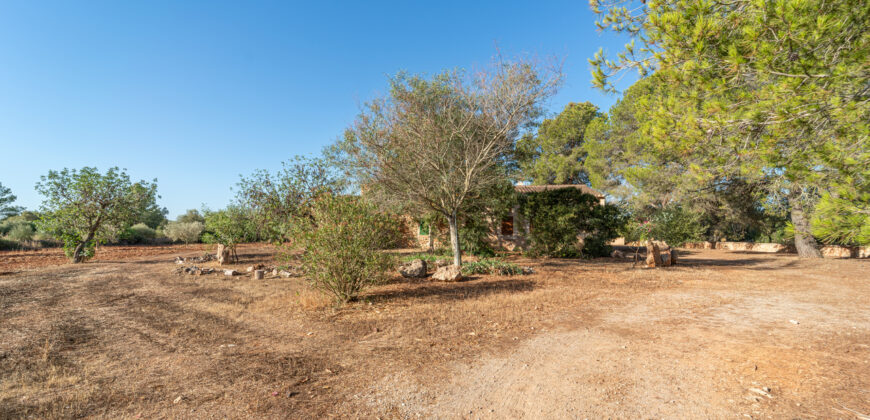 Finca zu verkaufen in Campos mit Grundstück und eigenem Brunnen