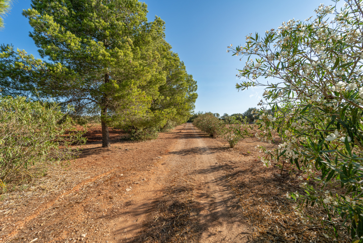 Country house for sale in Campos with land and private well