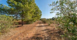 Finca zu verkaufen in Campos mit Grundstück und eigenem Brunnen