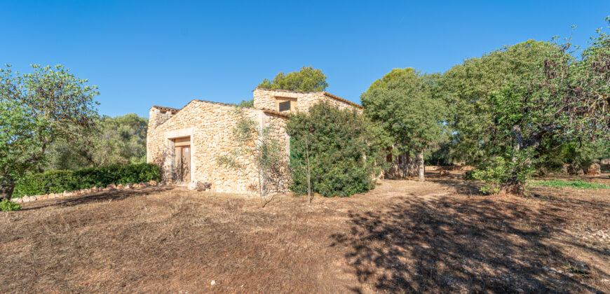 Finca zu verkaufen in Campos mit Grundstück und eigenem Brunnen