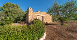 Finca zu verkaufen in Campos mit Grundstück und eigenem Brunnen