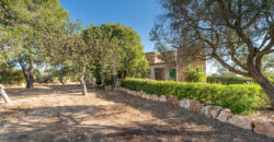 Finca zu verkaufen in Campos mit Grundstück und eigenem Brunnen