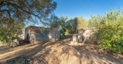 Finca zu verkaufen in Campos mit Grundstück und eigenem Brunnen