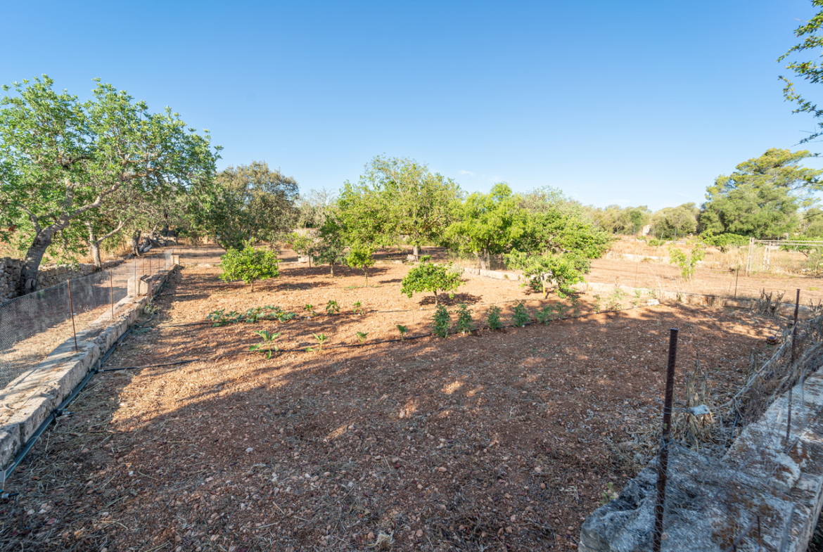 Country house for sale in Campos with land and private well