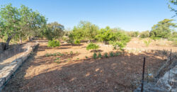 Finca zu verkaufen in Campos mit Grundstück und eigenem Brunnen