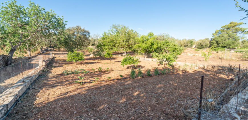 Finca zu verkaufen in Campos mit Grundstück und eigenem Brunnen