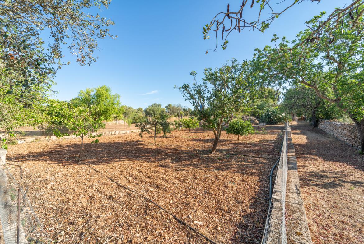 Country house for sale in Campos with land and private well
