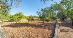 Finca zu verkaufen in Campos mit Grundstück und eigenem Brunnen