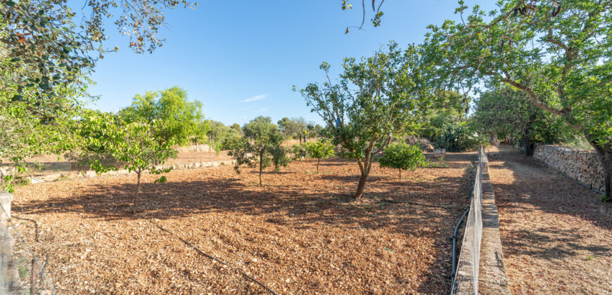 Finca zu verkaufen in Campos mit Grundstück und eigenem Brunnen