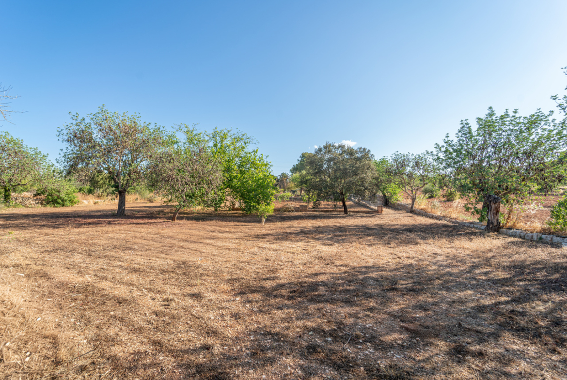 Country house for sale in Campos with land and private well