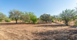 Finca zu verkaufen in Campos mit Grundstück und eigenem Brunnen