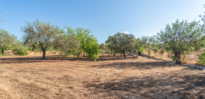 Finca zu verkaufen in Campos mit Grundstück und eigenem Brunnen