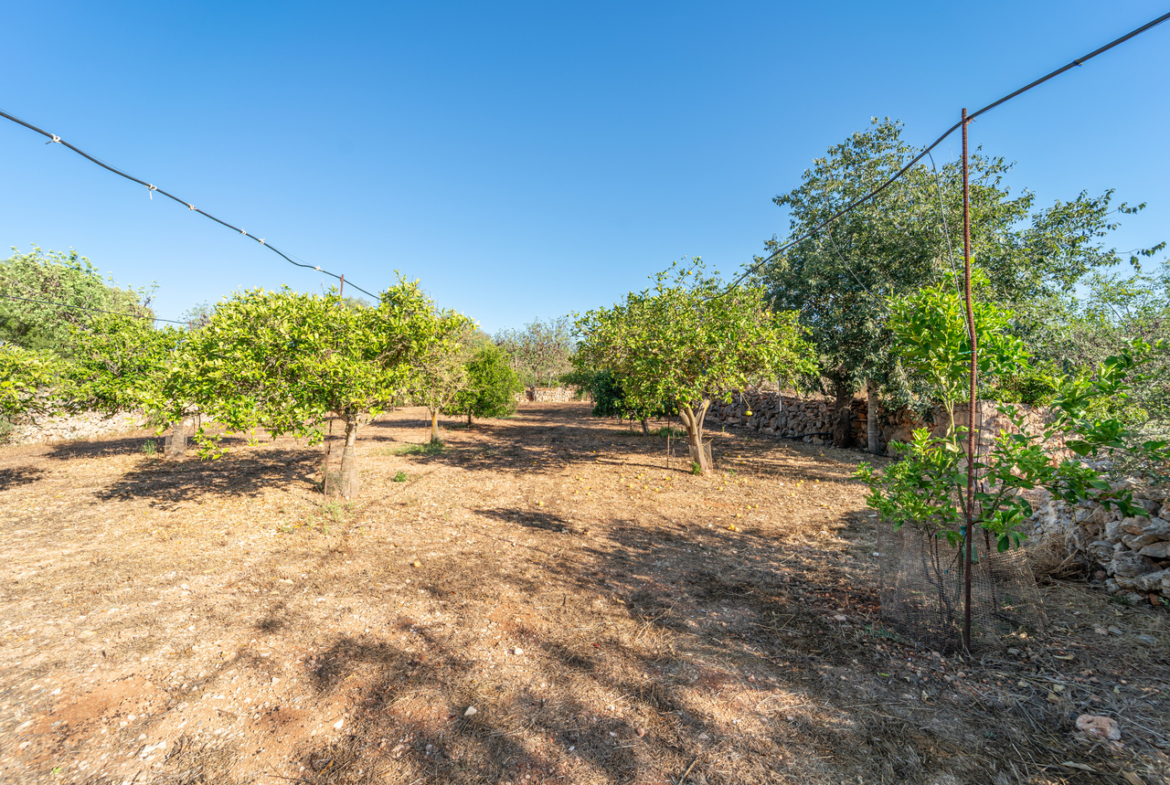 Country house for sale in Campos with land and private well