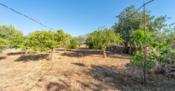 Finca zu verkaufen in Campos mit Grundstück und eigenem Brunnen