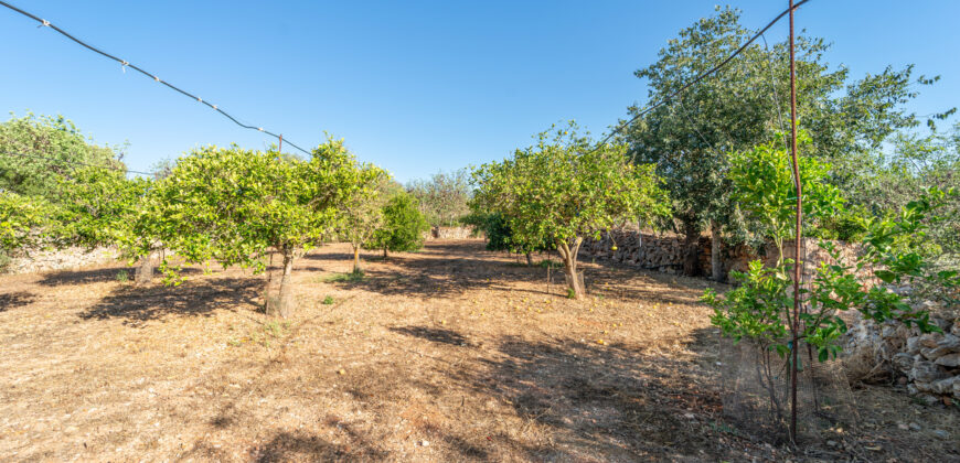 Finca zu verkaufen in Campos mit Grundstück und eigenem Brunnen