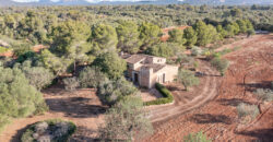 Country house for sale in Campos with land and private well