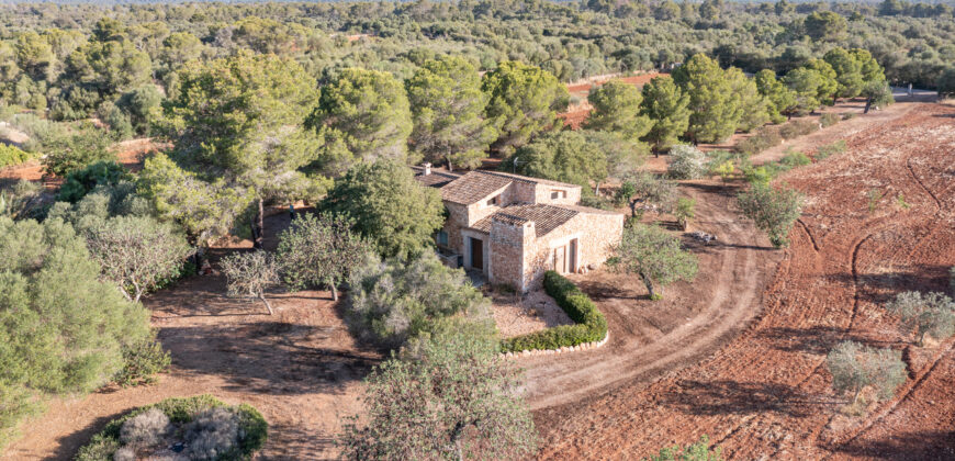 Country house for sale in Campos with land and private well