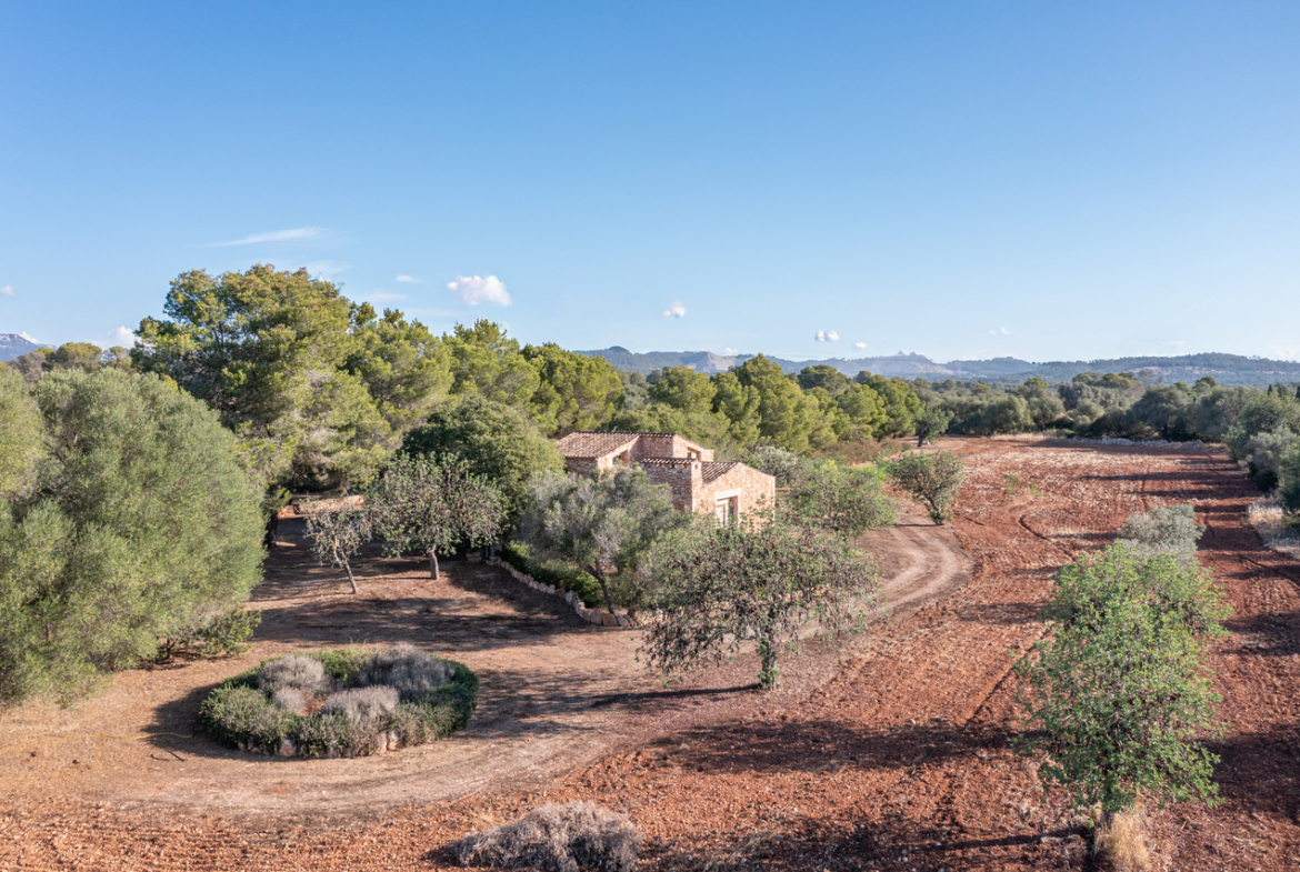 Country house for sale in Campos with land and private well