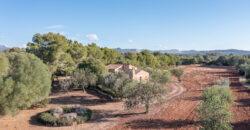 Country house for sale in Campos with land and private well