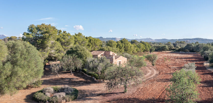 Country house for sale in Campos with land and private well