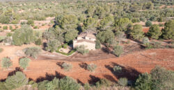 Country house for sale in Campos with land and private well