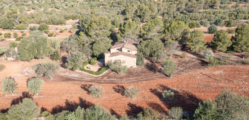 Country house for sale in Campos with land and private well
