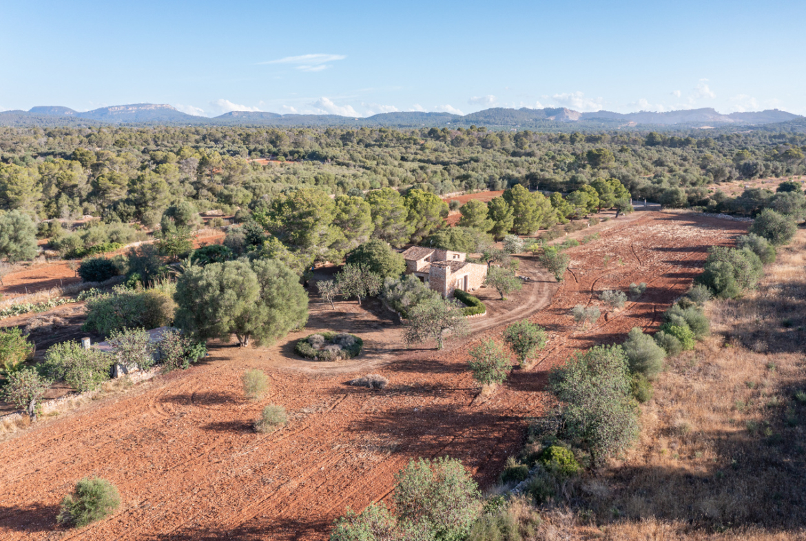 Country house for sale in Campos with land and private well
