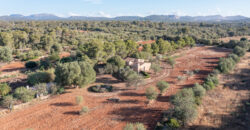 Country house for sale in Campos with land and private well