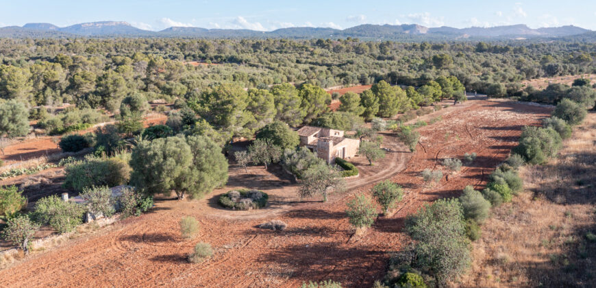 Country house for sale in Campos with land and private well