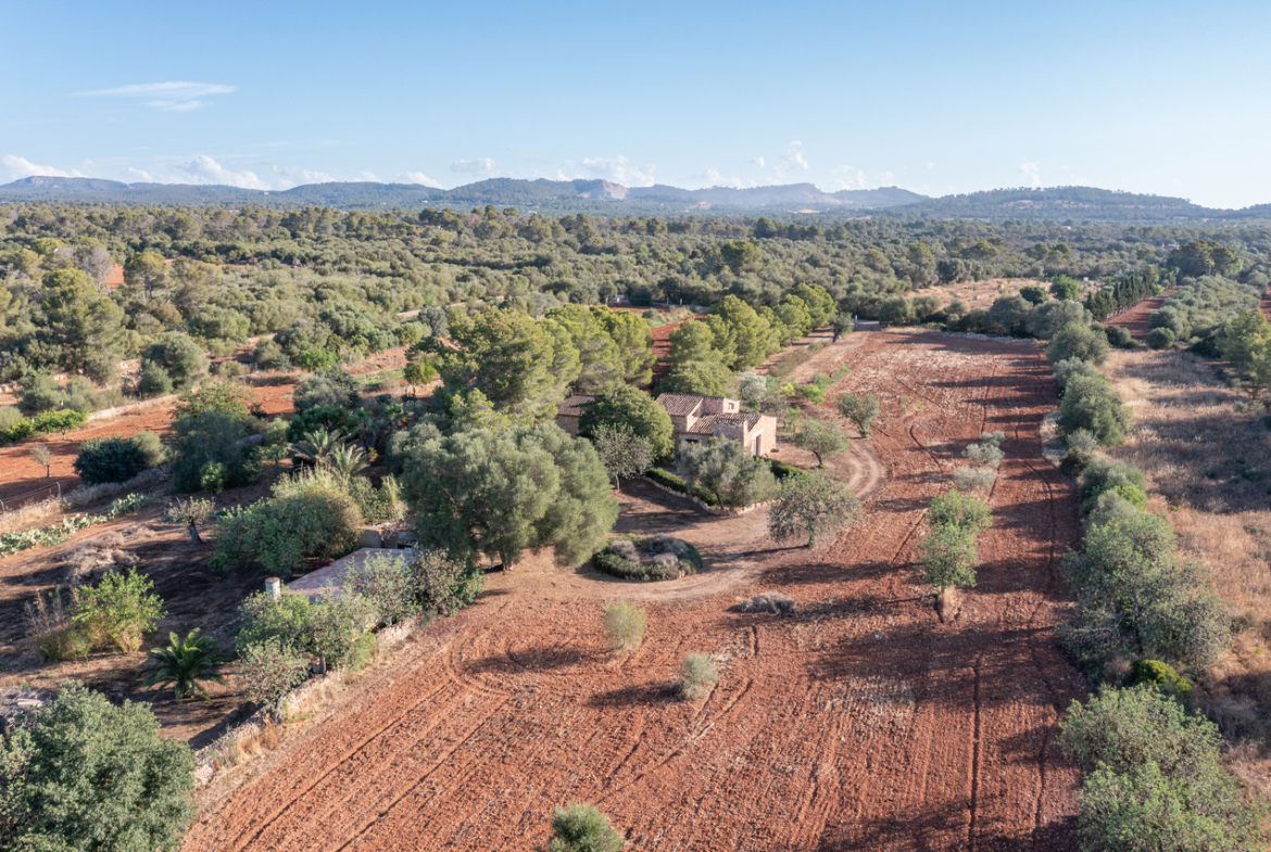Country house for sale in Campos with land and private well